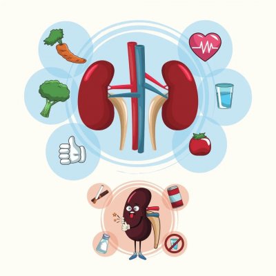 Best Ayurvedic Medicine for Kidney Detox Best Ayurvedic Medicine for Kidney Detox